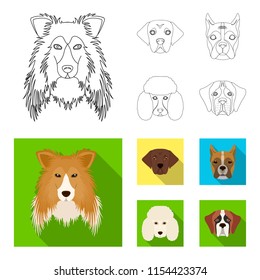 Muzzle of different breeds of dogs.Collie breed dog, lobladore, poodle, boxer set collection icons in outline,flat style vector symbol stock illustration web.