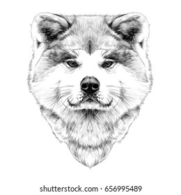 muzzle dog breed Akita-inu, full face looking forward symmetrically, sketch vector graphics black and white drawing
