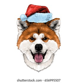 muzzle dog breed Akita-inu with his tongue hanging out in Santa hat, full face looking forward symmetrically, sketch vector graphics color picture