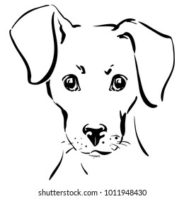 Muzzle of a dog  - vector illustration