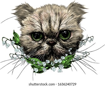 muzzle of an Exot cat with a long mustache surrounded by bell flowers, sketch vector graphics color illustration on a white background