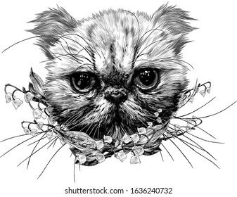 muzzle of an Exot cat with a long mustache surrounded by bell flowers, sketch vector graphics monochrome illustration on a white background
