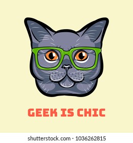 Muzzle of gray cat wearing in glasses. Cat geek. Geek is chic. Vector illustration.