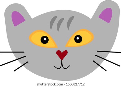 muzzle of a gray mustachioed kitten with sparkling orange eyes and a cute smile object on a white background pet concept