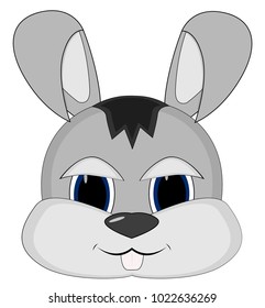 muzzle a grey wily rabbit