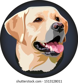 Muzzle Labrador Retriever Vector Illustration