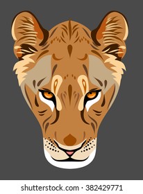 The muzzle of a lioness