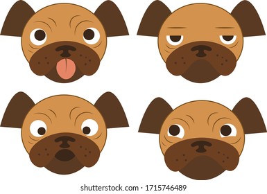 Muzzle of a pug with emotions. Several dogs.