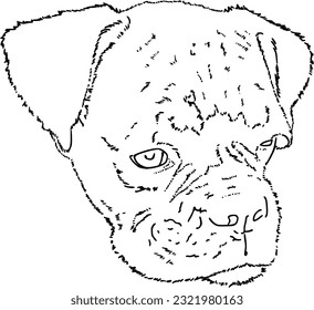 Muzzle puppy dog ​​boxer pet animal doodle linear cartoon coloring