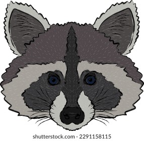 muzzle of a raccoon, black torn contour, wool