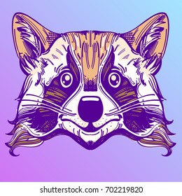 Muzzle raccoon illustration for creating sketches of tattoos, printing on clothes, design of posters and leaflets.