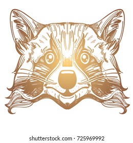 Muzzle raccoon illustration for creating sketches of tattoos, printing on clothes, design of posters and leaflets.
