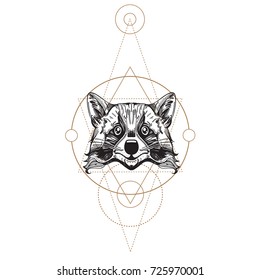 Muzzle raccoon illustration for creating sketches of tattoos, printing on clothes, design of posters and leaflets.