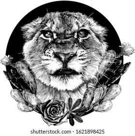 muzzle of a small tiger with a full-face grin on the background of a round composition decorated with flowering cacti, sketch vector graphics monochrome drawing on a white background