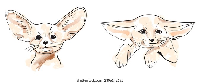 Muzzle sweet little fox with big ears and a cute nose. Fennec fox. Vector image.