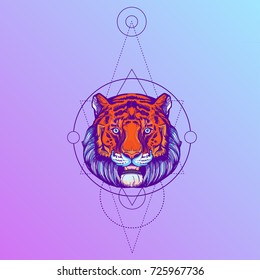 Muzzle of a tiger illustration for creating sketches of tattoos, printing on clothes, design of posters and leaflets.