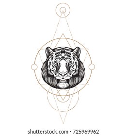 Muzzle of a tiger illustration for creating sketches of tattoos, printing on clothes, design of posters and leaflets.