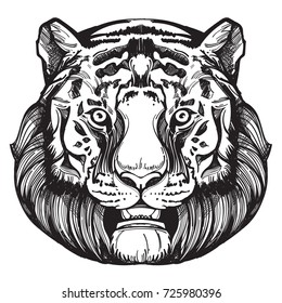 Muzzle of a tiger illustration for creating sketches of tattoos, printing on clothes, design of posters and leaflets.
