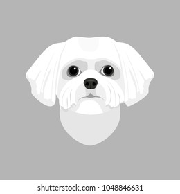 Muzzle white dog, beautiful dog, flat design. Vector illustration.