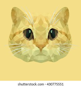 Muzzle of a yellow beautiful cat with big expressive eyes. The look of a cat is directed to the viewer, composition the counterbalanced in square shape, color scale warm.