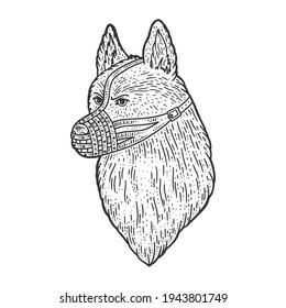 muzzled dog shepherd sketch engraving vector illustration. T-shirt apparel print design. Scratch board imitation. Black and white hand drawn image.