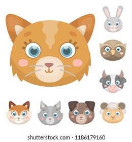 Muzzles of animals cartoon icons in set collection for design. Wild and domestic animals vector symbol stock web illustration.