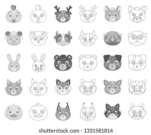 Muzzles of animals monochrome,outline icons in set collection for design. Wild and domestic animals vector symbol stock web illustration.