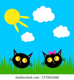 Muzzles of black cats of a boy and a girl sitting in the grass against the background of the bright sun of the blue sky and fluffy clouds, the concept of animals and pets