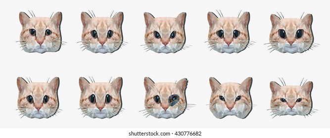 Muzzles of a cat with different emotions. Work is performed by hand in a decorative manner a triangulation. 