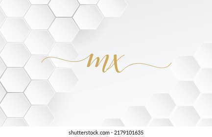 MX,XM Abstract Letters Logo Monogram