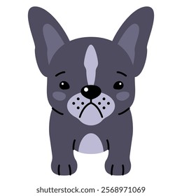 My best friend. French bulldog puppy. Cute design. Vector illustration. Dog. Funny french bulldog puppy