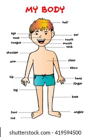 Body Parts Chart - Get Rid Of Wiring Diagram Problem