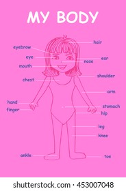 My body", educational info graphic chart for kids showing parts of human body of a cute cartoon girl.