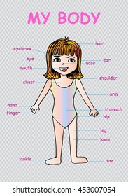 My body", educational info graphic chart for kids showing parts of human body of a cute cartoon girl.