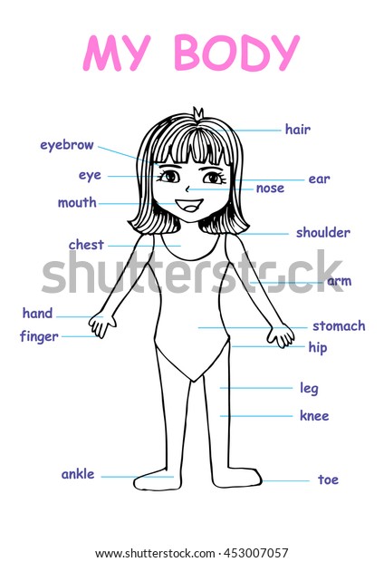 My Body Educational Info Graphic Chart Stock Vector (Royalty Free ...