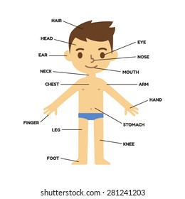 Chart Parts Of Body