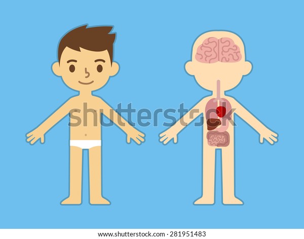 My Body Educational Infographic Chart Kids Stock Vector (Royalty Free ...