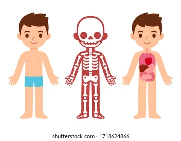 My Body, Educational Infographic For Children. Cute Cartoon Boy In Underwear With Anatomy Chart Of Internal Organs And Skeleton. Isolated Vector Clip Art Illustration.