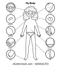 My body parts black and white educational poster with a girl. Learning human body for school and preschool kids. Coloring page template. Vector illustration