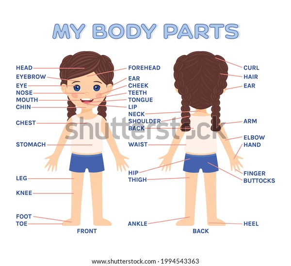 My Body Parts Education Child Game Stock Vector (Royalty Free) 1994543363