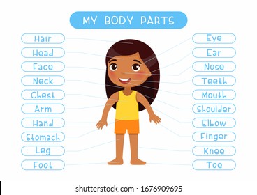 Human Body Parts Name Images Stock Photos Vectors Shutterstock