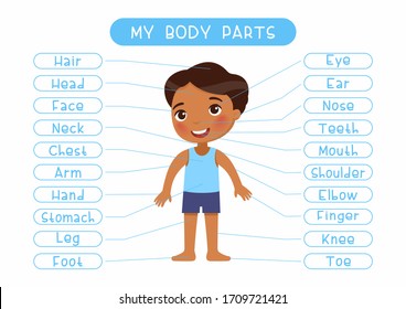 My body parts educational infographic kids poster vector template. Cute boy showing external organs names. Cartoon anatomy childish printable banner design, english words learning card layout