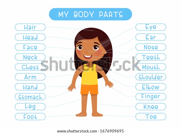 My body parts educational infographic kids poster vector template. Cute