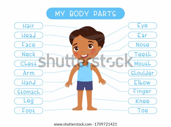 My body parts educational infographic kids poster vector template. Cute