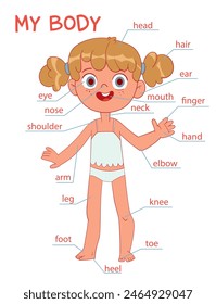 My body parts. Girl. Colorful cartoon style. Funny vector illustration. Isolated white background