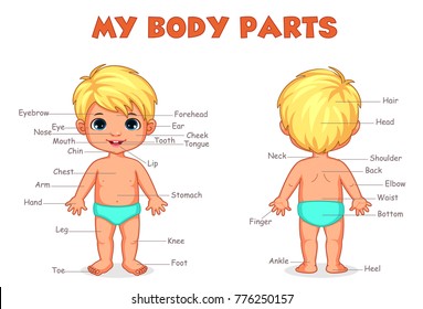 'My body parts' illustration of little cut boy for kids learning