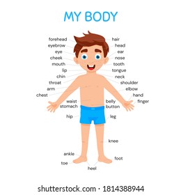 My Body Poster Cute Kid Boy Stock Vector (Royalty Free) 1814388944 ...