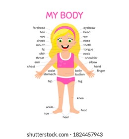 My body poster. Cute kid girl shows his body parts medical anatomy chart placard or poster flat style cartoon vector illustration isolated on white background.