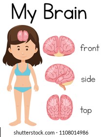 My brain with young girl illustration