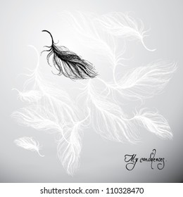 My condolences / Elegant card of sympathy with feathers